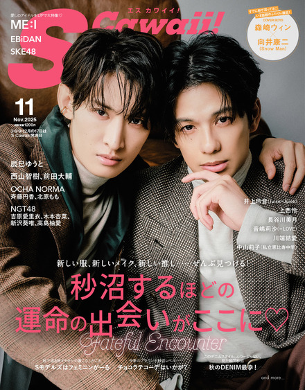 雑誌　梨花　2004年　11月号　S cawaii　エスカワイイ 雑誌 梨花 2004年 11月号 S cawaii エスカワイイ 雑誌