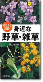 書影