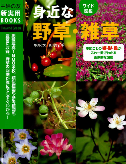 書影