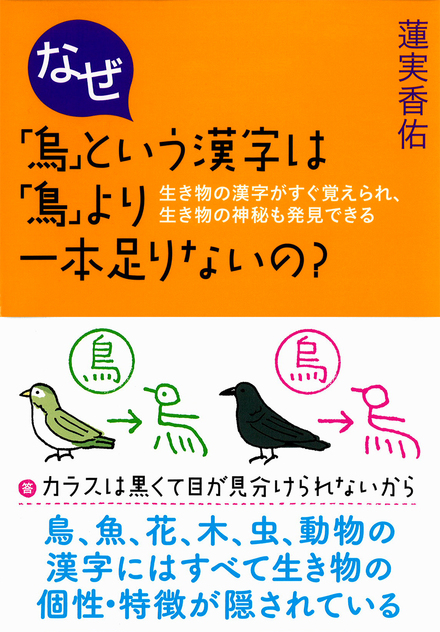 書影